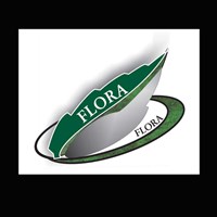 Портфолио Юлия